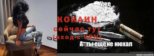 apvp Алексин