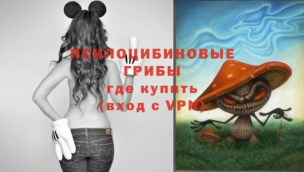 apvp Алексин
